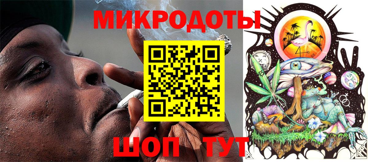 Галлюциногенные грибы Psilocybe Новоалтайск